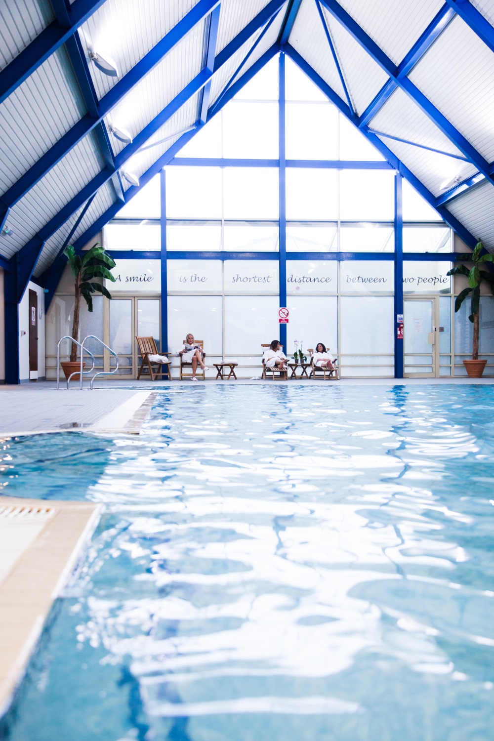 Accept Pets Pet Friendly Hotels  Bs  Self Catering Holiday