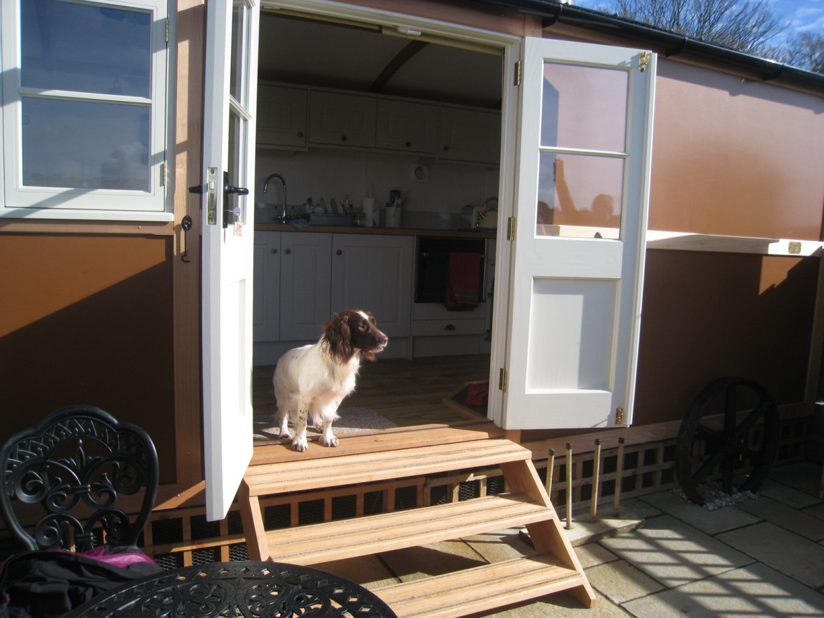 We Accept Pets Pet Friendly Hotels, B & Bs, Self Catering Holiday Cottages and Campsites in