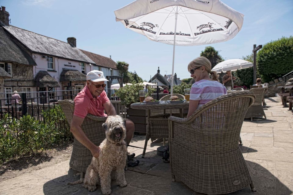 We Accept Pets Pet Friendly Hotels, B & Bs, Self Catering Holiday