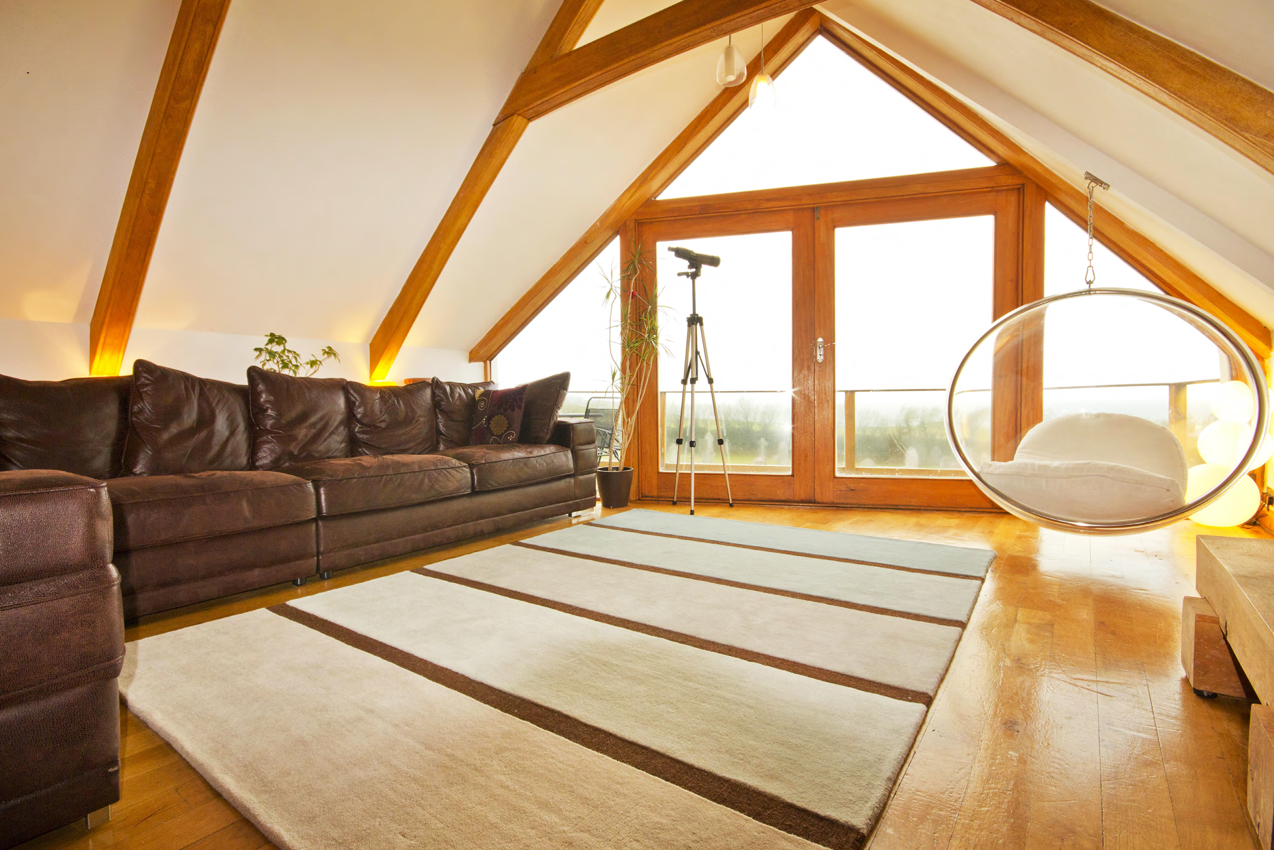 What hotels accept small dogs