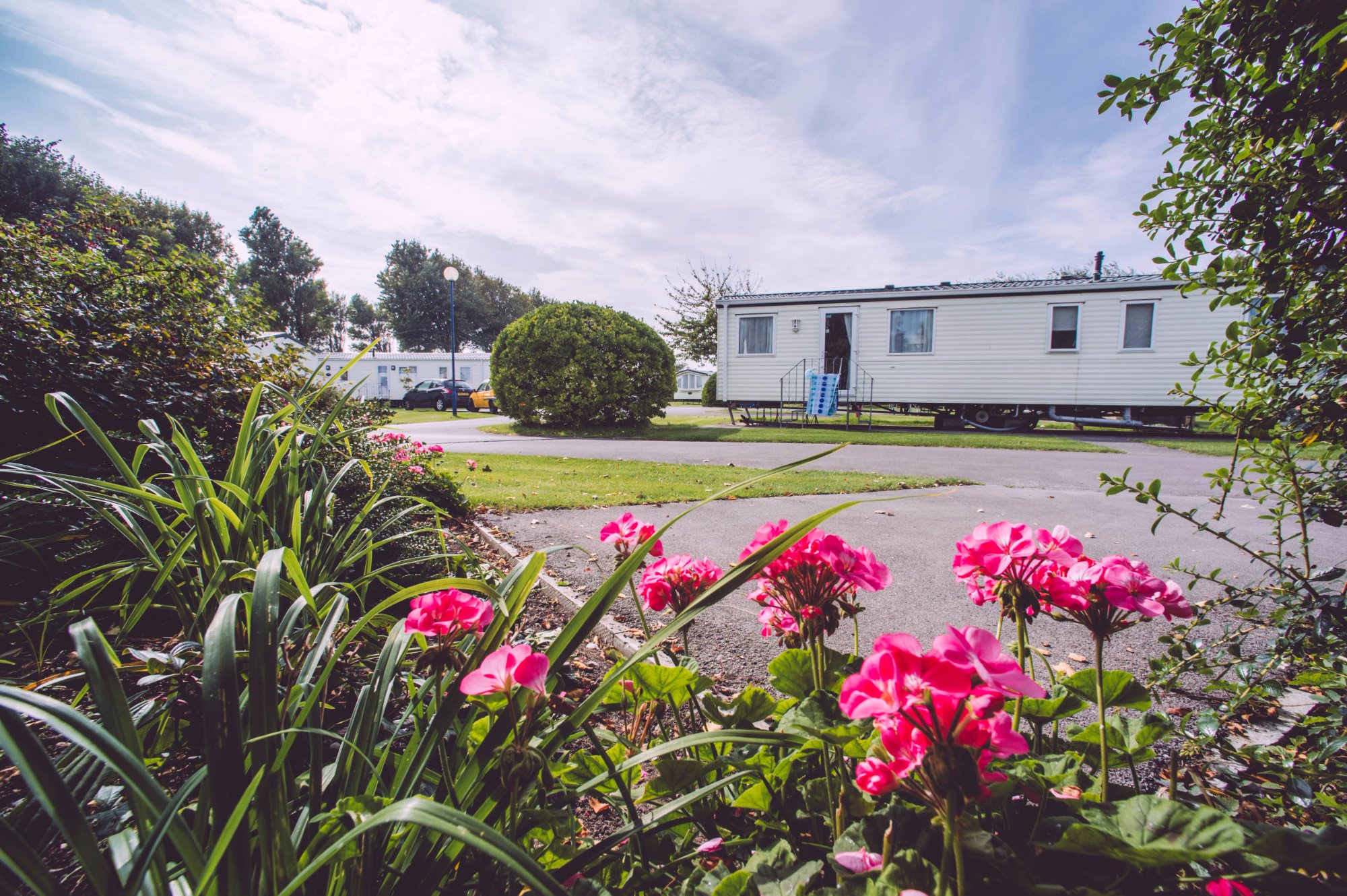 We Accept Pets Pet Friendly Hotels, B & Bs, Self Catering Holiday