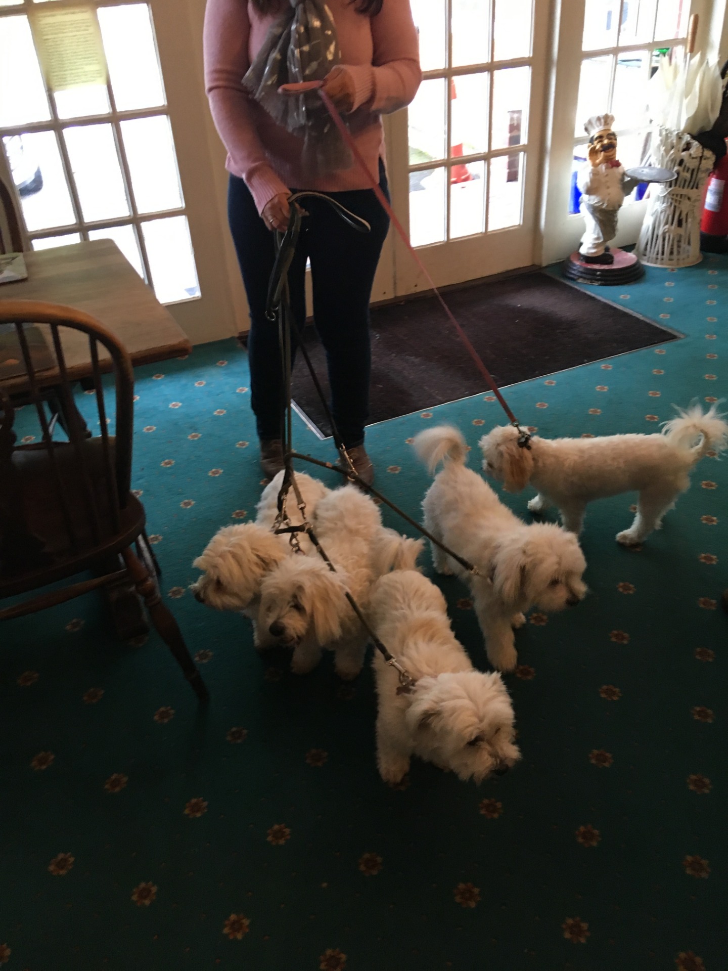 We Accept Pets Pet Friendly Hotels, B & Bs, Self Catering Holiday